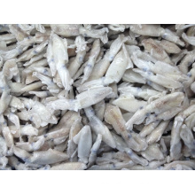 fresh frozen squid for sale